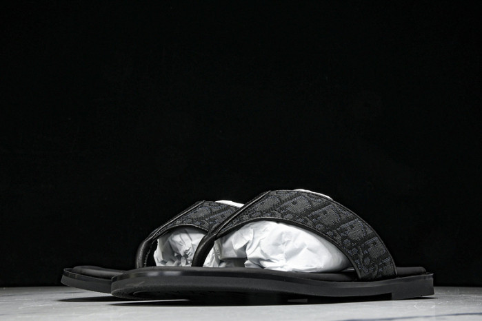 D1R* SLIDE copshoe DR-SLIDE 017