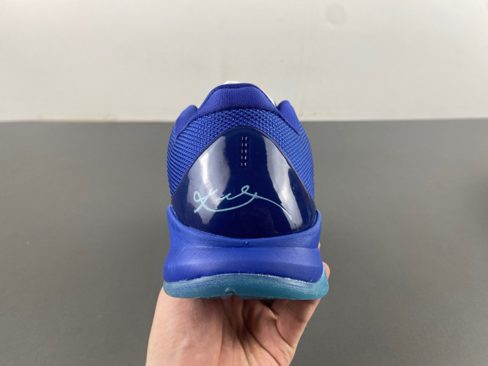 zoom kobe 5 protro 